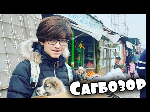 Видео: VLOG:🇹🇯ТОЧИКИСТОН/САГБОЗОР🐕🐈