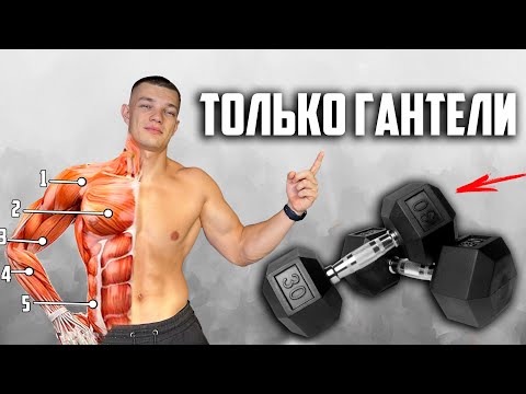 Видео: КАК НАКАЧАТЬСЯ ТОЛЬКО ГАНТЕЛЯМИ (ГОТОВЫЙ ПЛАН ТРЕНИРОВОК НА ВСЕ ТЕЛО)