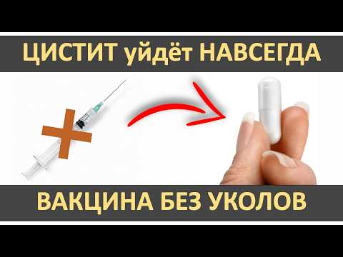 Видео: ИММУНИТЕТ от ЦИСТИТА. РАЗ и НАВСЕГДА.