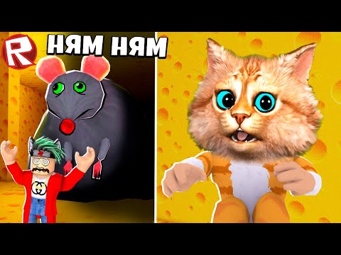 Видео: 🐭 СТРАШНАЯ КРЫСА ОХОТИТСЯ ЗА МНОЙ ПОБЕГ ИЗ СЫРНОГО ЛАБИРИНТА В ROBLOX CHEESE ESCAPE Весёлый Кот