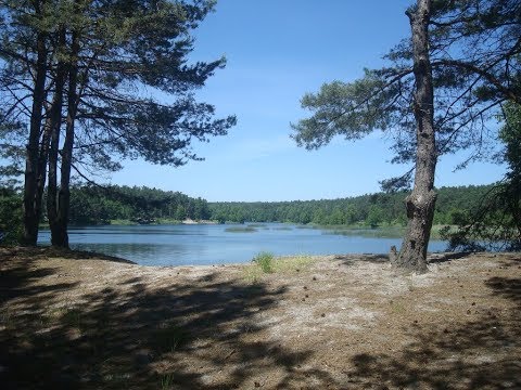 Видео: Хмельницкая область. Славутский район. Природа. Khmelnitsky region. Slavuta district. Nature.