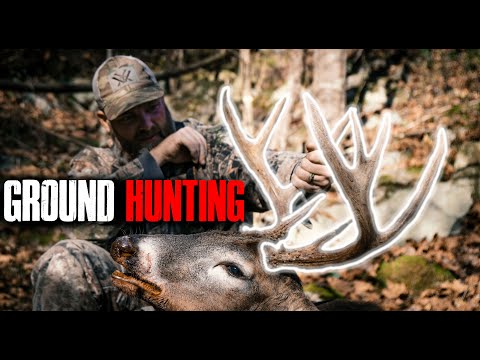 Видео: Охота на белохвостого оленя с земли — охота с луком и выслеживанием
