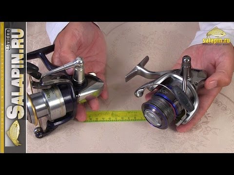 Видео: Как выбрать катушку для фидера [salapinru]