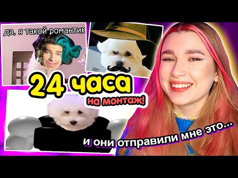Видео: Я Дала ПОДПИСЧИКАМ СМОНТИРОВАТЬ моё ВИДЕО за 24 ЧАСА 🤫 Наша Собака