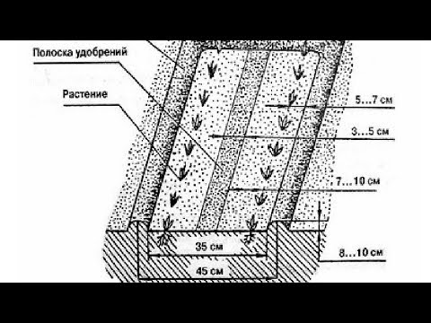 Видео: Отзывы огородников о методе Миттлайдера