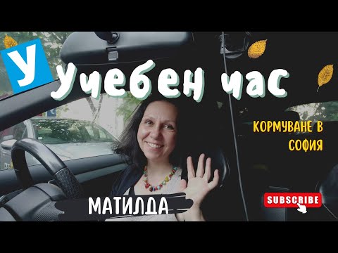 Видео: Кормуване в София