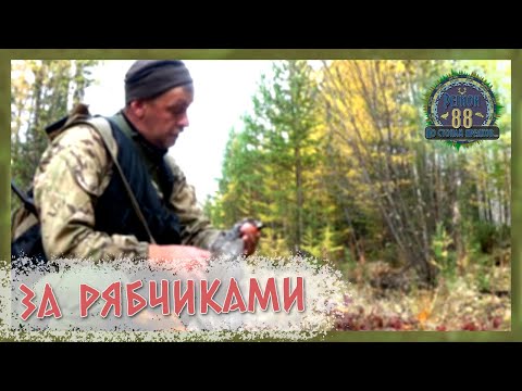 Видео: Регион 88 | За рябчиками