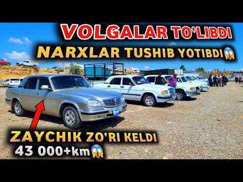 Видео: ХАЙРОН ҚОЛДИМ😳 ШУНАҚА КАМ ЮРГАН ЗАЙЧИК БОРАКАН! ВОЛГАЛАРНИ КЎРИБ МАЗА ҚИДИНГ! ОБЗОР ЗЎР БЎЛДИ