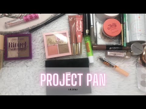 Видео: Project Pan 2025 ♻️| Первый отчет #projectpan #проджектпен