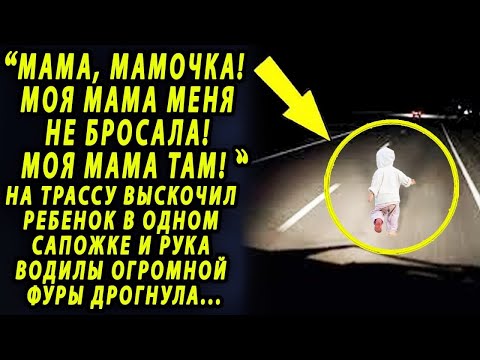 Видео: На трассу выскочила девочка в одном сапожке и рука водителя огромной фуры дрогнула