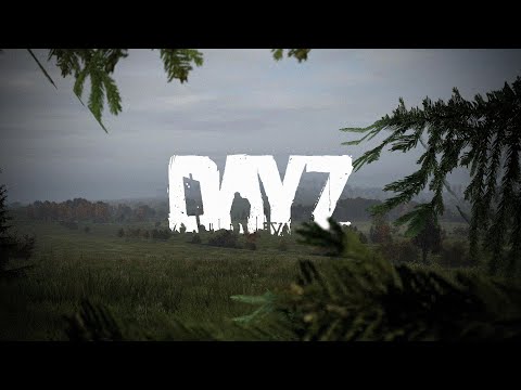 Видео: Стараемся не откиснуть / Dayz