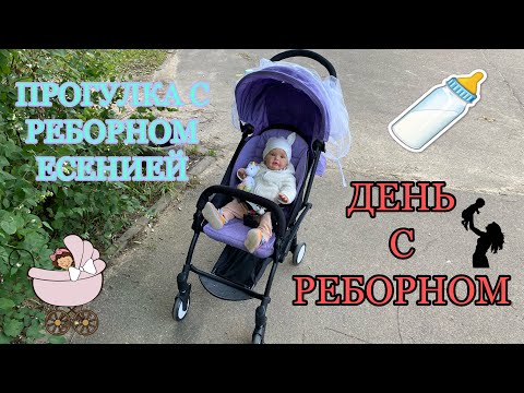 Видео: ПРОГУЛКА С РЕБОРНОМ ЕСЕНИЕЙ 👶 | ДЕНЬ С РЕБОРНОМ Sue -Sue | REBORN SUE -SUE !!!