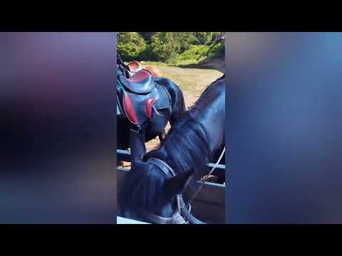 Видео: Бег в лесу 46 км. Через перевал до геленджика.