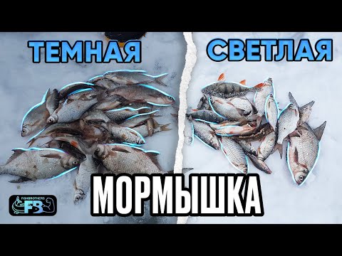 Видео: Уловистый цвет мормышки.  Какой выбрать?