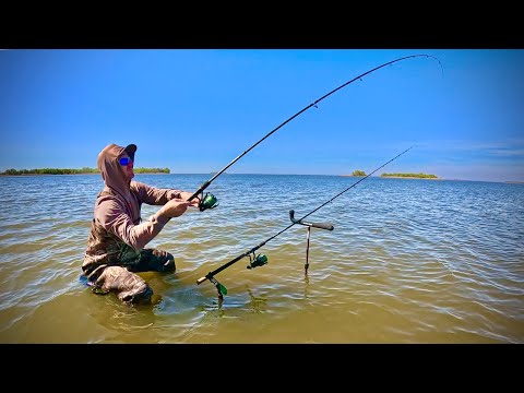 Видео: Забрів у ВОДОСХОВИЩЕ! САЗАН ТЯГНЕ ВУДКУ у воду!!!