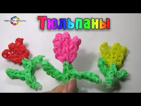 Видео: Красивый ЦВЕТОК ТЮЛЬПАН из резинок Rainbow Loom Bands. Урок 43 Flower Tulip New