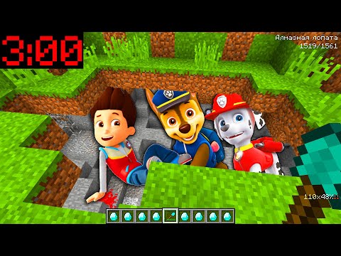 Видео: ЧТО СЛУЧИЛОСЬ С ЩЕНЯЧИЙ ПАТРУЛЬ РАЙДЕР ГОНЩИК МАРШАЛ В МАЙНКРАФТ ХЬЮГА СЕКРЕТ