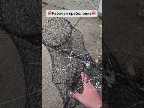 Видео: Рабочая краболовка не дорого. Ловим краба в Норвегии