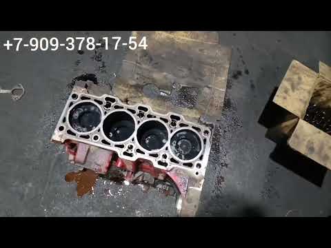 Видео: Газель Камминз, когда проблема то есть, то нет