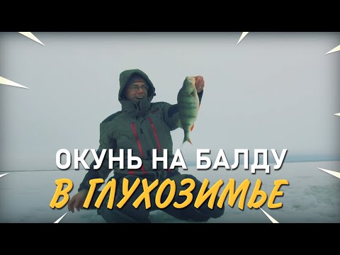 Видео: Балда. Окунь. Глухозимье. Практика ловли с Валерием Сикиржицким. Выпуск 30