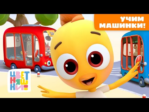 Видео: Учим машинки! Все виды транспорта — от автобуса до самолёта | Цветняшки мультики для детей | сборник