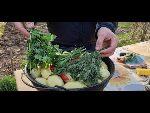 Видео: БАСМА ИЗ СВИНИНЫ – ВКУСНОЕ БЛЮДО УЗБЕКСКОЙ КУХНИ!!