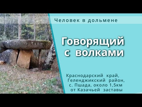 Видео: Человек в дольмене Говорящий с волками / Говорящий с животными.