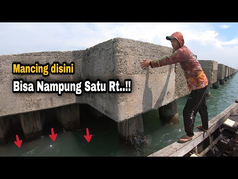 Видео: Заплатите 35 тысяч за рыбалку, здесь так много вредителей.