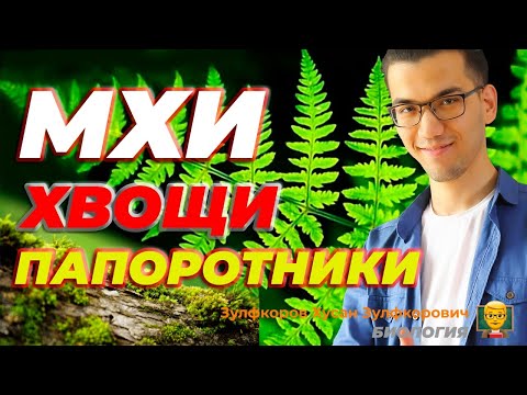 Видео: Споровые
