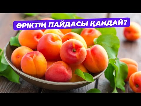 Видео: Өріктің ағзаға пайдасы