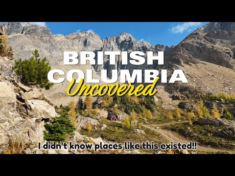 Видео: Высадка в восточной части Британской Колумбии — это просто дико!