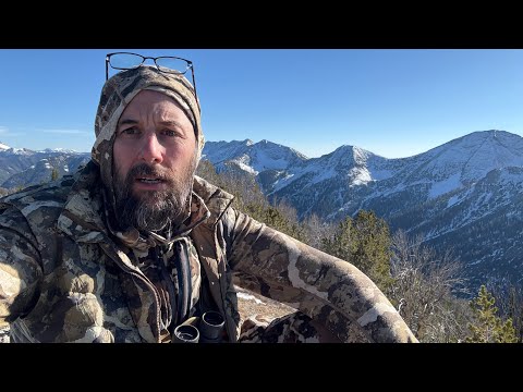 Видео: Охота на оленей-мулов в Айдахо, 2025