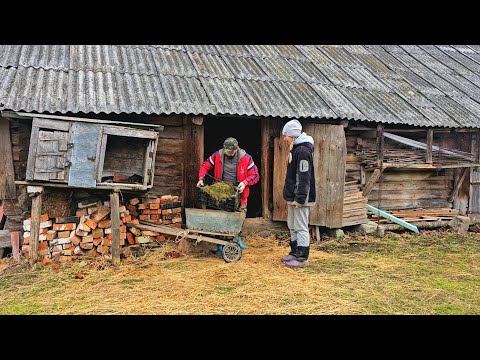 Видео: Нашли себя В СТАРОМ ДОМЕ возле самого леса. Жизнь на отшибе тихой деревеньки.