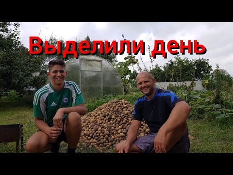 Видео: Как хуторяне в деревне картошку копали .Подведены итоги конкурса по розыгрышу кружек