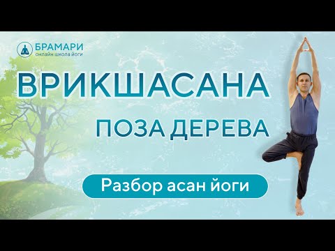 Видео: ВРИКШАСАНА — позе дерева в йоге • Отстройка • Техника выполнения • Видеоразбор