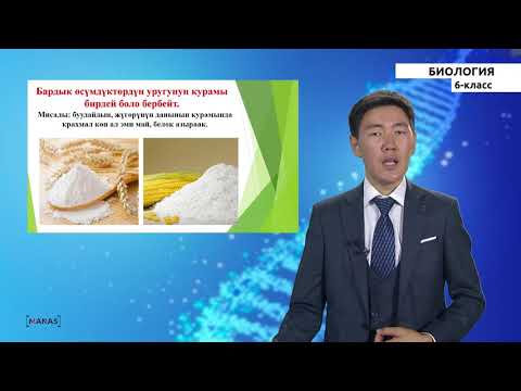 Видео: 6 класс - КГ - Биология - №7 - Уруктун түзүлүшү, курамы жана ички кубаты.