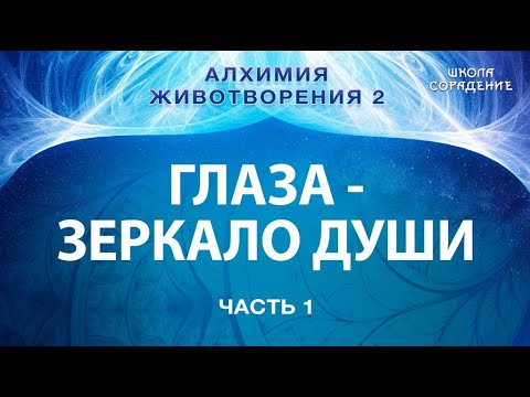 Видео: Глаза зеркало Души #АлхимияЖивотворения #Гарат #школаСорадение