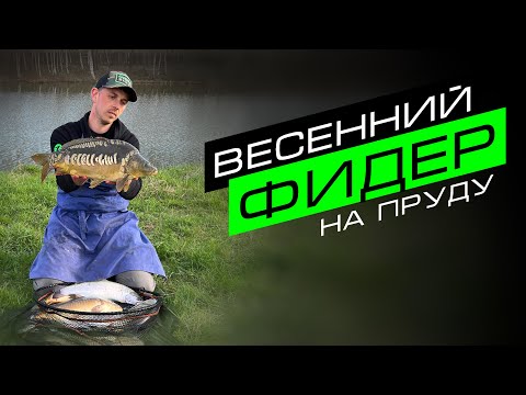 Видео: Ловля карпа и амура весной / Рыбалка на flat и фидер