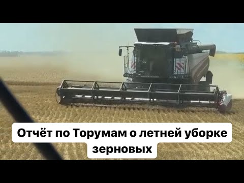 Видео: Результаты работы Торумов за летнюю уборку.