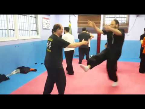 Видео: Дмитрий Дейч: тренировка фацзин