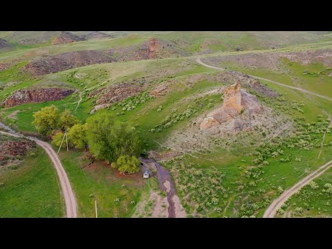 Видео: В поисках грибов Малайсары, Баканас, Шенгельды