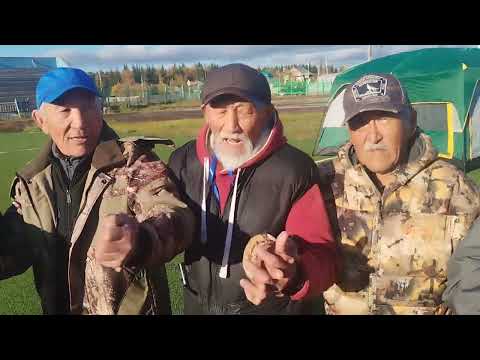 Видео: Һунтаарга Һаха Һирин үрдүнэн МОХСУОҔА биирдиилээн бастыыр иһин күрэхтэһиигэ