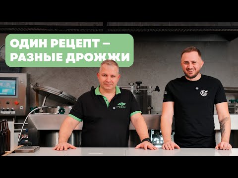 Видео: Тест дрожжей: как меняется вкус пива?