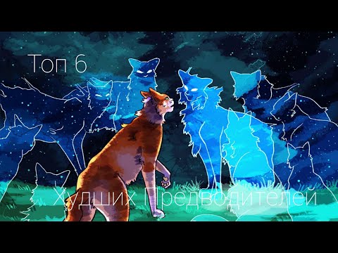 Видео: Топ 6 Худших Предводителей|Коты-Воители|КВ