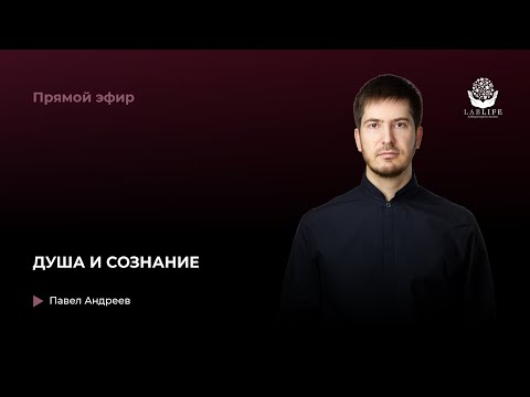 Видео: Прямой эфир "Душа и сознание"