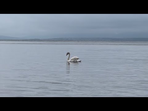 Видео: Влог 3 с Болгарии 🇧🇬