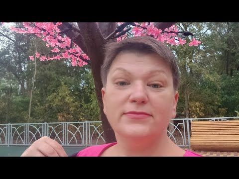 Видео: Приветствую