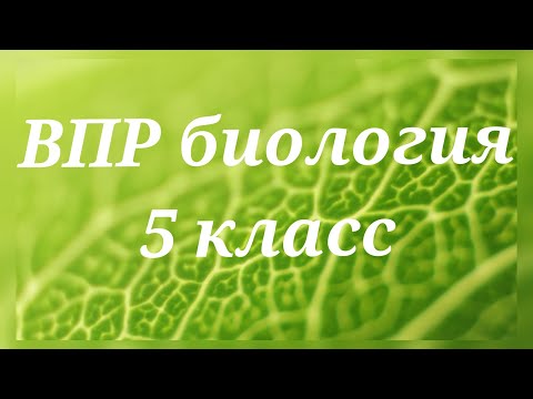 Видео: ВПР - 2022. Биология 5 класс. Вариант с ответами №2