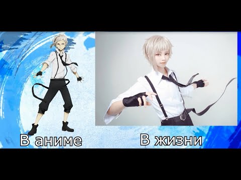 Видео: ВЕЛИКИЙ ИЗ БРОДЯЧИХ ПСОВ В РЕАЛЬНОЙ ЖИЗНИ!