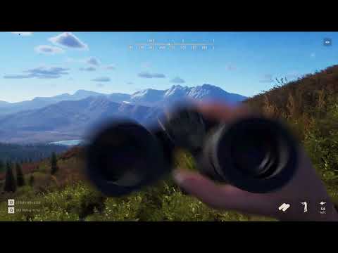 Видео: Way Of The Hunter | Аляскинский лось 5 звезд. ЭПИК.
